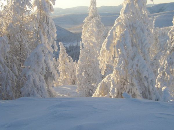 Полюс холода